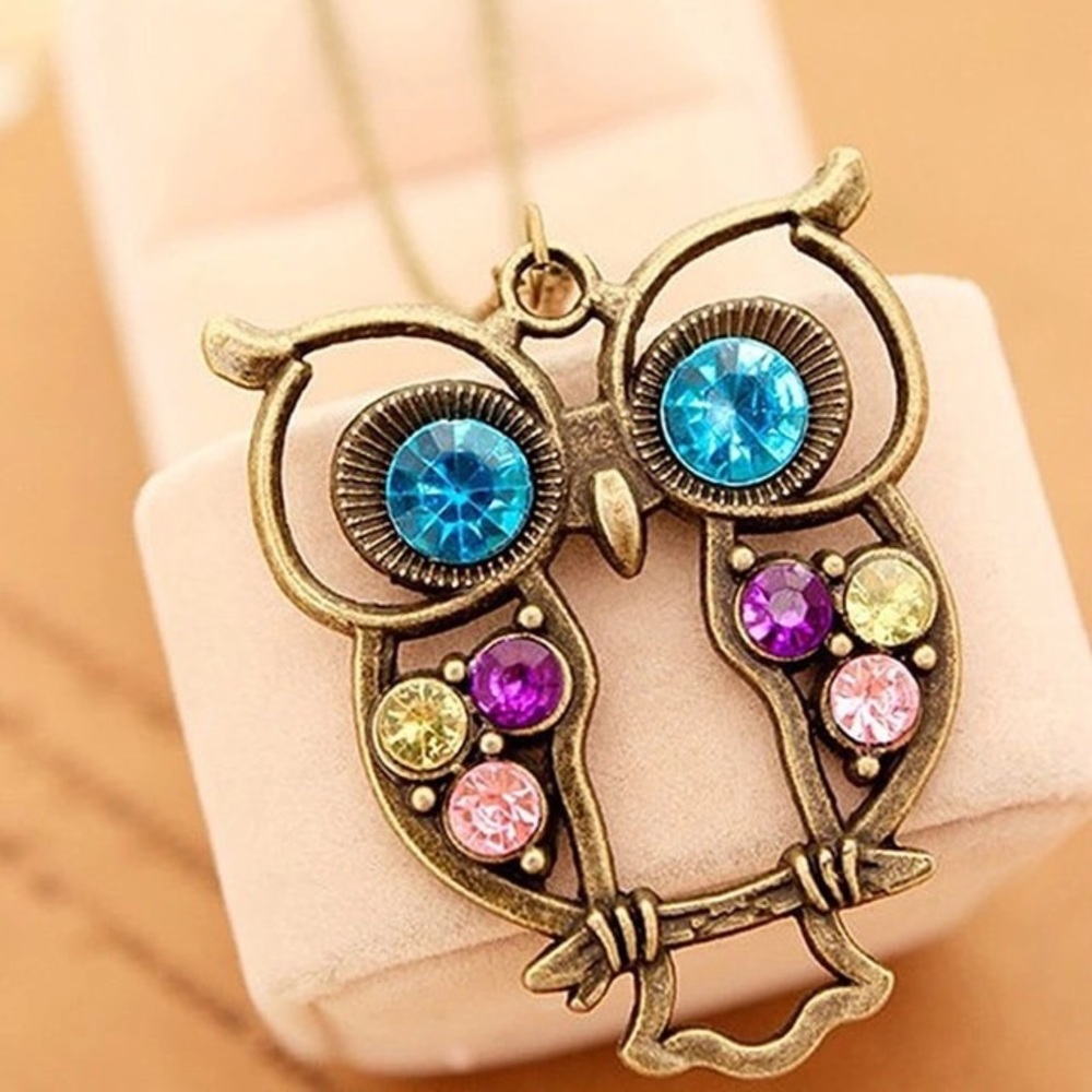 NWT Owl Pendant Necklace - Copper Chain